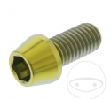 Βίδα με στρογγυλή κωνική κεφαλή Pro Bolt M10 x 1.50 x 20 mm από ανοξείδωτο ατσάλι 