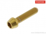 Βίδα με στρογγυλή κωνική κεφαλή Pro Bolt M6 x 1.00 x 25 mm από ανοξείδωτο ατσάλι A