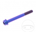 Διπλή καπάκι βίδας Pro Bolt M6 x 1,00 x 55 χιλιοστά τιτάνιο αγώνας μωβ - JM