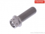 Καπάκι εξαγώνου βίδα Pro Bolt M7 x 1.00 x 20 χιλ. τιτάνιο αγώνων - JM