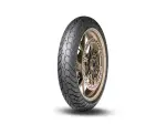 Λάστιχο (καουτσούκ) Dunlop Mutant 110/80 R19 59V (M+S) TL - Dunlop