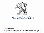 Πίσω κάλυμμα (βαμμένο) BL - 1277814738 - Peugeot