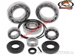 Ρουλεμάν διαφορικού πίσω - Kawasaki TERYX 750 4X4 ('08-'13) - All Balls