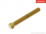 Ρυθμιστικό βίδας τάσης αλυσίδας Pro Bolt M8 x 1.25 x 55 mm από ανοξείδωτο ατσάλι 