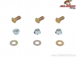 Σετ βίδες / παξιμάδια πίσω τροχός - Kawasaki KFX80 KSF ('03-'06) - All Balls