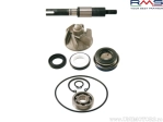 Σετ επισκευής αντλίας νερού - Honda @ / SH / Dylan / Pantheon - 125cc/150cc 4T - (RMS)