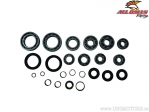 Σετ επισκευής πλήρους διαφορικού - Polaris Sportsman 500 4x4 RSE ('00) - All Balls
