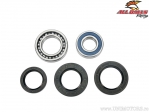 Σετ ρουλεμάν / σιμερίνγκ πίσω τροχού - Yamaha YFM35FX Wolverine ('95-'99) - All Balls