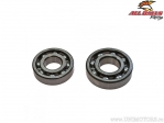 Σετ ρουλεμάν στροφαλοφόρου άξονα - Suzuki LT-250EF / LT-300E / Yamaha SR500 / TT500 / XT500 / XT550