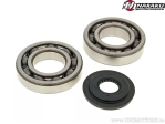 Σετ ρουλεμάν / τσιμούχα στροφαλοφόρου - Honda Dylan 125 SES 125 / Passion 125 i PES 125 / SH 150
