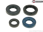 Σετ τσιμούχες λαδιού κινητήρα - PGO Big Max 50 2T AC / G-Max 50 2T AC / Hot 50 2T AC / T-Rex 50 2T AC 