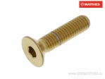 Винт капак вграден шестостенен Pro Bolt M6 x 1.00 x 25 мм неръждаема стомана A4 з