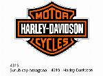 Винт с шестоъгълна глава - 4319 - Harley-Davidson