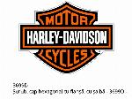 Винт, шестостенна фланцова глава с шайба - 3699D - Harley-Davidson