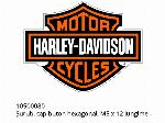 Винт, bhcs, m5 x 12 lg. - 10500080 - Harley-Davidson