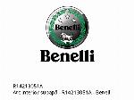 Вътрешна пружина на клапан - R14213051A - Benelli