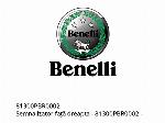 Десен преден мигач - 81300PBR0002 - Benelli