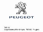 Дясно тяло на степенка - 705102 - Peugeot
