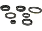 Комплект Симеринги за Мотоциклетен Двигател - ARCTIC CAT 400 2X4 FIS Auto / SUZUKI LT-A 4