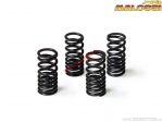 Комплект клапанни пружини (2913068) - 4 броя - Aprilia Atlantic GT 500i H2O 4T E1 ('01) - Malossi
