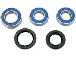Комплект лагери за задна гума - GAS GAS EC 125 / EC 200 / EC 250 / EC 300 / EC 450 / ENDURO 250 / FSE 4
