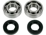 Комплект семеринги за двигател - Kawasaki KFX 80 2X4 ('03-'06) / Suzuki LT 80 ('88-'06) - Moose