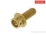 Шестостенен винт с капачка Pro Bolt M6 x 1.00 x 15 мм от неръждаема стомана A4 Racin