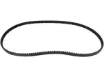 24 mm Rear Drive Belt - 12040113