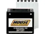 AGM maintenance-free battery (134x89x166mm / 210A) - Moose - rear