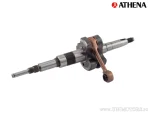 Arbore cotit Athena STD, Morini AC - Athena