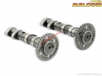 Ax came Power Cam (2 bucati / 5913783) - Yamaha T Max 500 ie 4T LC ('04-'07) / T Max (carburator) 500 4T LC ('01-'03) - Malossi
