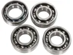 Balancer-as lagerkit - 09500542