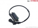 Bobina inductie - Kymco Xciting 250 ('06) - Kymco