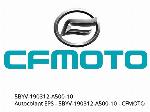 Calcomanía EPS - 5BYV-190312-A500-10 - CFMOTO