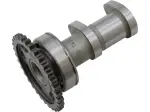 Camshaft Intake Stage 1 - 09250050