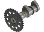 Camshaft Intake Stage 1 - 09250695