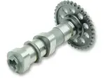 Camshaft Intake Stage 2 - 09250693
