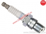 Candela Standard BR6FS - NGK