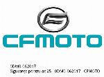 Circlips pour arbre 25 - 0DM0-062017 - CFMOTO