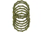 Clutch Friction Plate Set - 11310438