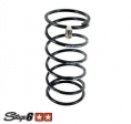 Clutch spring - Aprilia (Piaggio engine) / Gilera / Piaggio / Vespa 2-stroke 50cc - Stage 6