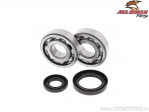 Conjunto de rolamentos e retentores de virabrequim - Suzuki RM250 - All Balls