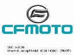 Conjunto de válvula de lengüeta - 0030-143000 - CFMOTO