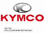 COOL RADIATOR PROTECTOR/360CC - 08207360 - Kymco