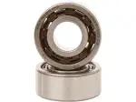Counter Balancer Bearing Kit - 09500554