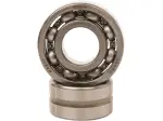 Counter Balancer Bearing Kit - 09500555