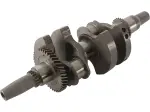 Crankshaft - Steel - 09210956