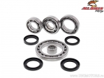 Cuscinetti differenziale posteriore - Suzuki LT-A500F Quad Master Auto ('01) / LT-F500F ('01-'02) - All Balls