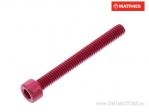 CYLINDER SCREW WITH HEX SOCKET - JM