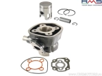 Cylinder Set (Engine) Aprilia SR 50 LC / Sonic / Rally / Benelli 491 / MBK Nitro / Mach G / Yamaha Aerox / Jog RR 50cc 2T - (RMS